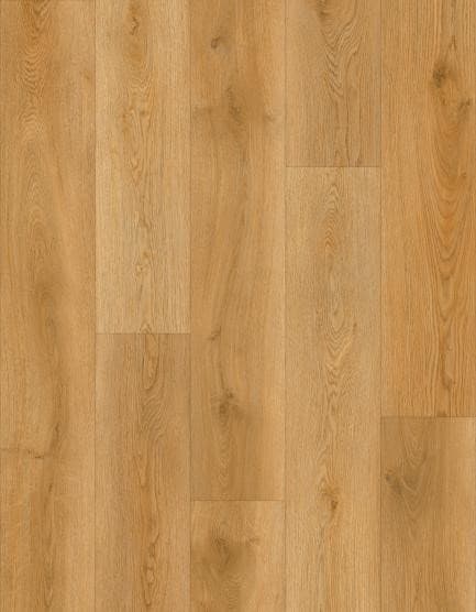 Celtic Clivia SPC vinyl plank flooring, warm golden-honey oak