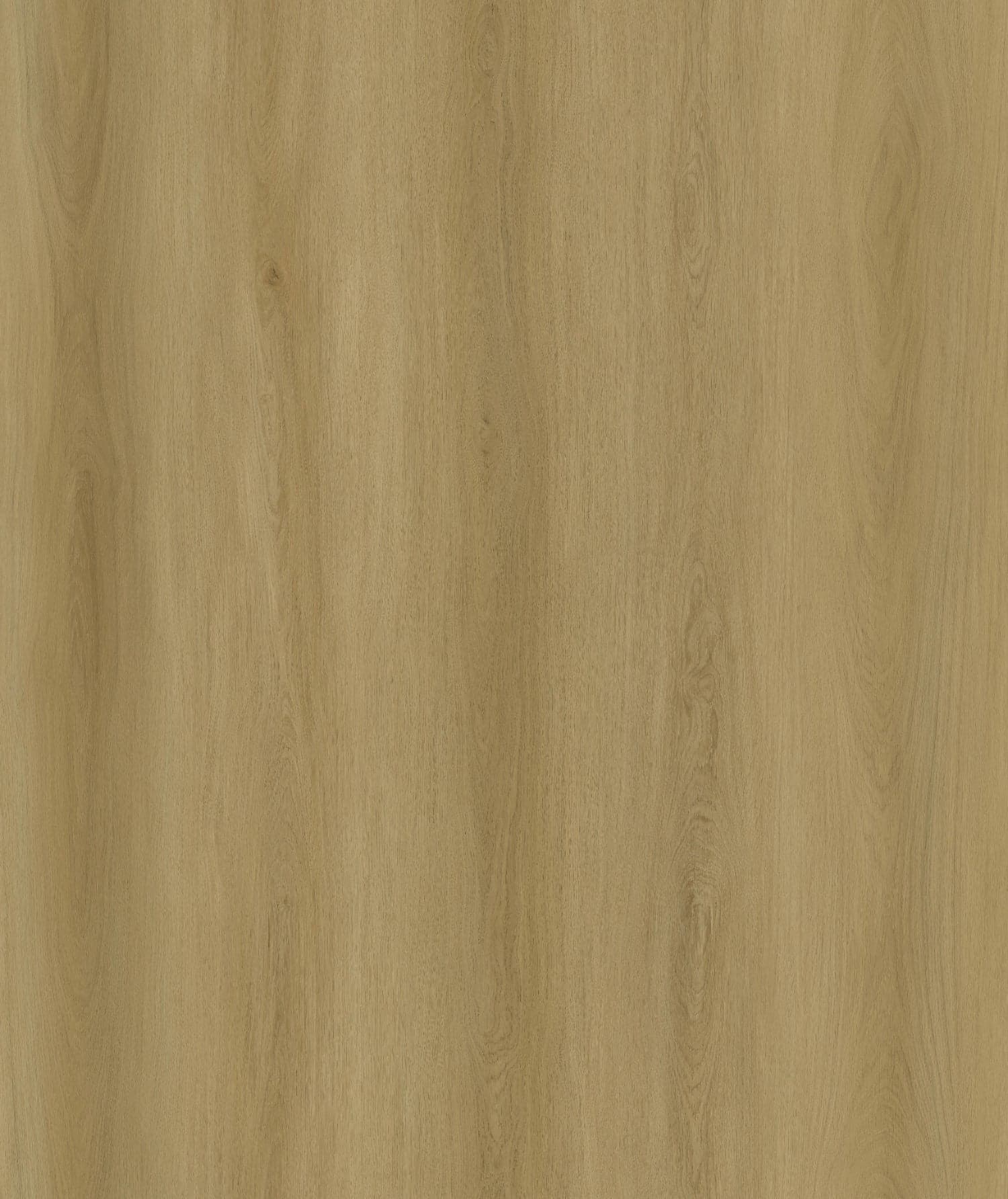 Havre Oakel City waterproof laminate flooring, warm golden-tan natural oak